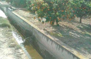 Paterna reutiliza 1.800.000 m3 de agua depurada al año para el riego agrícola