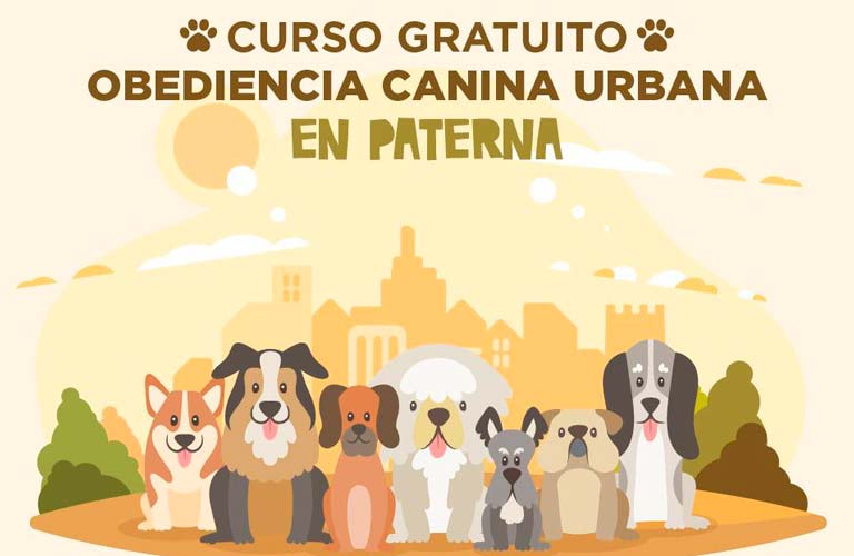 Paterna ofrece un nuevo curso gratuito de obediencia canina urbana 