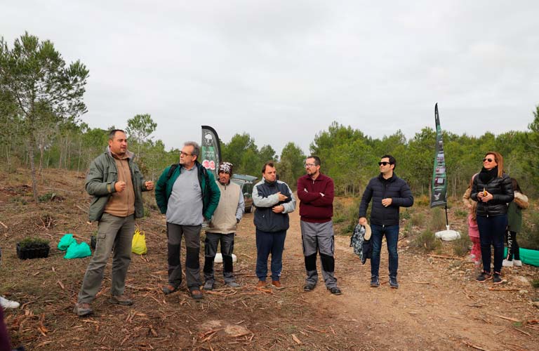 Decenas de voluntarios participan en una nueva jornada de clareo en La Vallesa