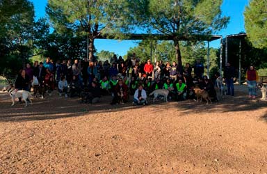 Más de 70 mascotas participan en el Curso de obediencia canina urbana de Paterna