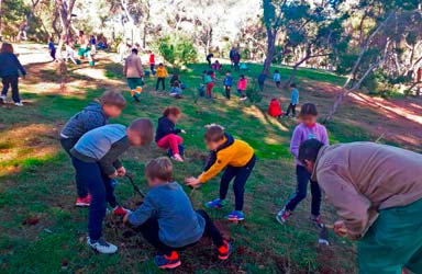 Paterna tendrá 1.200 nuevos árboles gracias a las reforestaciones de escolares