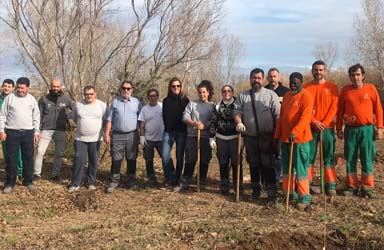 Paterna lleva a cabo la limpieza de 50.000 m2 de manta de cañas en La Vallesa