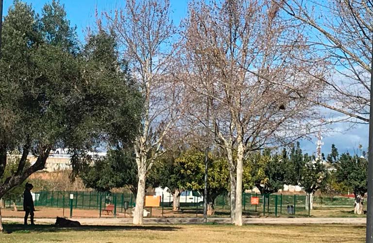 Paterna instal·la fonts de doble ús per a persones i mascotes en zones verdes i d'esplai caní