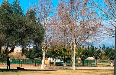 Paterna instala fuentes de doble uso para personas y mascotas en zonas verdes y de esparcimiento canino