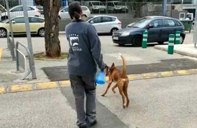 Paterna aumenta los servicios del Refugio Animal y autoriza a sus voluntarios  
