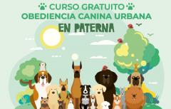 Paterna pone en marcha el curso gratuito de Obediencia Canina Urbana con medidas de seguridad por la COVID-19