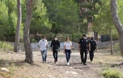 Paterna duplica hasta los 30 metros las franjas de seguridad forestal para prevenir incendios
