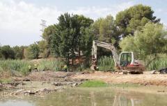 Paterna elimina las especies invasoras en el cauce del rio Turia y La Vallesa