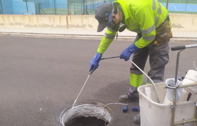 Paterna intensifica los tratamientos para evitar la proliferación del mosquito común y el mosquito tigre