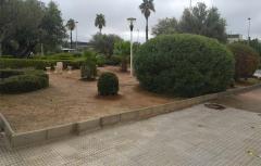 Paterna bautizará las zonas verdes del Parque Tecnológico con nombres de mujeres científicas célebres 
