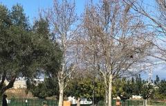 Paterna, una de las ciudades que más dinero per cápita destina a Bienestar Animal con 6 euros por habitante