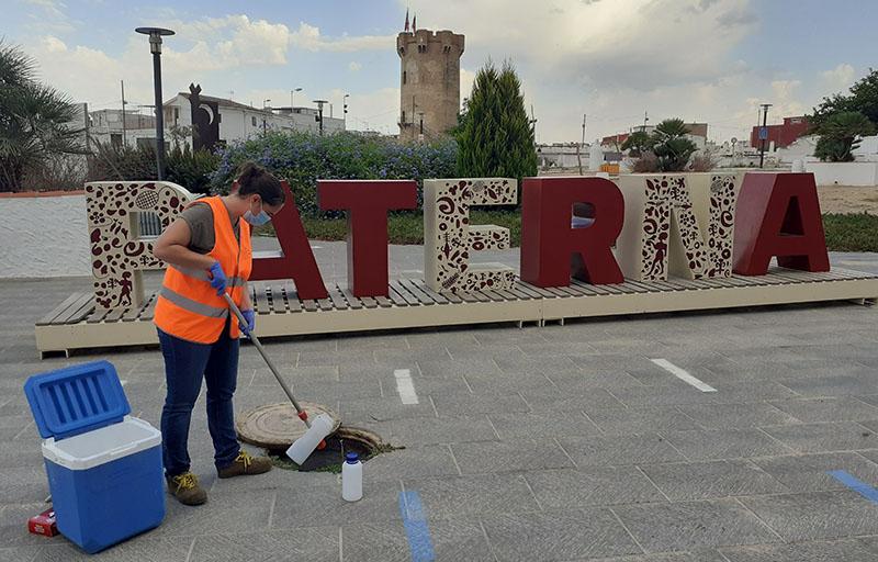 Paterna rastrea las cepas brasileña y sudafricana del coronavirus en sus aguas residuales