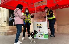 El Ayuntamiento lanza la campaña “Paterna Animal Friendly” para promover la convivencia entre ciudadanos y animales 