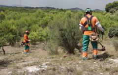 Paterna incrementa la vigilancia en La Vallesa ante el aumento del riesgo de incendios por altas temperaturas