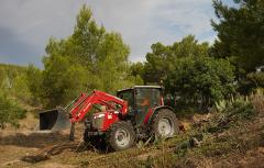 Paterna actúa en 176.000 m2 de La Vallesa para reforzar su protección ante incendios 