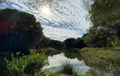  Paterna aplaude el proyecto de Corredor Verde que unirá  la ciudad con la Albufera a través del Parc Natural del Túria 