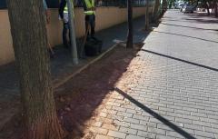 Paterna inicia el relleno con caucho de otros 1.150 alcorques más que mejorarán la limpieza y la accesibilidad peatonal 