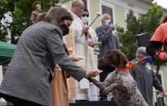 Más de 500 mascotas acudieron en Paterna a la tradicional bendición por la festividad de San Antonio Abad