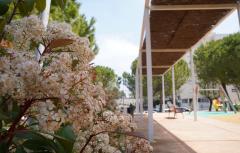 Els parcs i jardins de Paterna sumen un nou guardó de Viles en Flor per la seua gestió sostenible i zones verdes