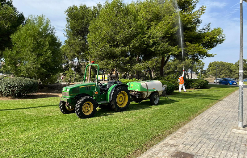 El Ayuntamiento de Paterna refuerza los tratamientos preventivos contra la procesionaria del pino