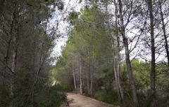 El Ayuntamiento de Paterna organiza Rutas turísticas pascueras por las trincheras de La Vallesa y el entorno de la Torre y Parc Central 
