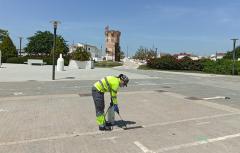 Paterna intensifica la campaña contra el mosquito tigre con una nueva técnica biológica y sin químicos