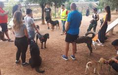 Paterna inicia una nueva edición del Curso de Educación Canina Urbana