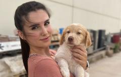 Un total de 127 animales del Refugio municipal de Paterna han encontrado un hogar en lo que va de año