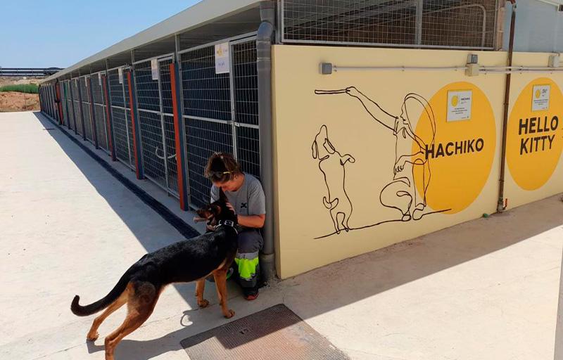 Paterna estrena nou Refugi Municipal d'Animals