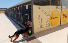 Paterna estrena nuevo Refugio Municipal de Animales