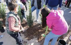 Paterna celebra el Dia de l'Arbre replantant 80 exemplars amb l'ajuda dels xiquets i xiquetes de la ciutat