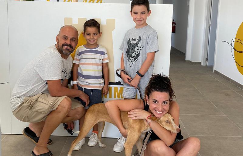 Cerca de 300 animales del Refugio Municipal de Paterna encuentran hogar durante 2022