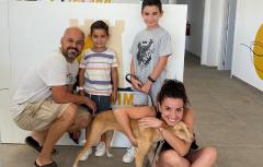 Prop de 300 animals del Refugi Municipal de Paterna troben llar durant 2022