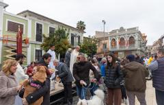 Més de 500 animals reben a Paterna la tradicional benedicció per Sant Antón