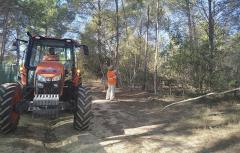Paterna finaliza el tratamiento preventivo para combatir la procesionaria en el arbolado del municipio este otoño