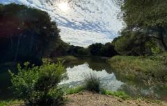 El Ayuntamiento de Paterna refuerza la protección de La Vallesa y su interfaz urbano-forestal ante la llegada del verano