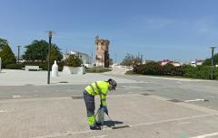 Paterna refuerza los tratamientos contra el mosquito tigre ante la llegada del calor