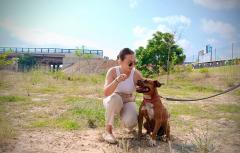 En el Día Mundial del perro Paterna lanza una campaña de concienciación para combatir los prejuicios sobre los perros potencialmente “peligrosos” y promover su acogida y adopción del Refugio Municipal de Animales
