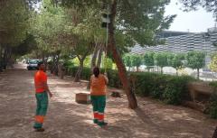 El Ayuntamiento de Paterna comienza con las labores de control de la procesionaria de pino durante los meses de verano