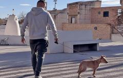 Paterna arranca otra campaña del servicio municipal de ADN canino para conseguir censar al 100% de los canes de la ciudad