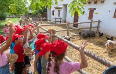 Paterna abre las inscripciones de la Escuela de Verano municipal