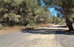 El Ayuntamiento de Paterna adecúa diferentes caminos rurales del municipio para hacerlos más accesibles y transitables