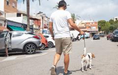 Paterna registra 5.376 animales censados en el servicio municipal de ADN canino durante el primer semestre de 2024