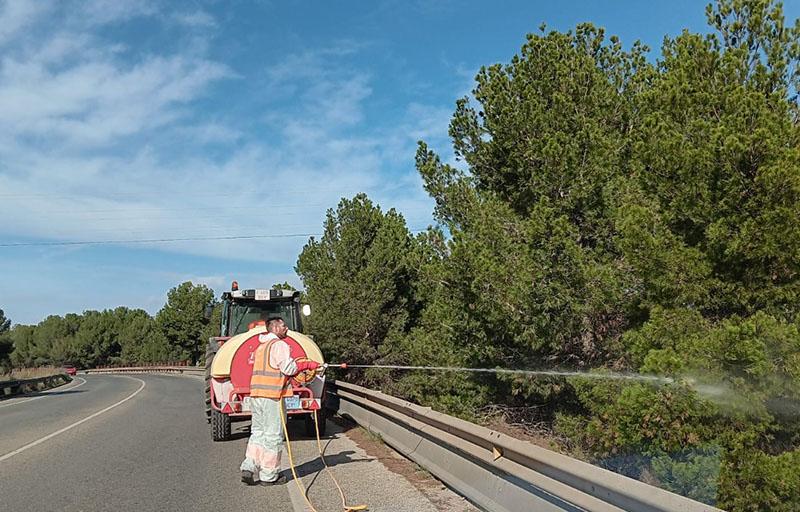 Paterna “pone coto” a la procesionaria en el arbolado municipal mediante el tratamiento preventivo