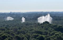 Paterna reforça la vigilància i prevenció d'incendis forestals en La Vallesa i en la seua interfície urbana forestal davant l'augment de temperatures