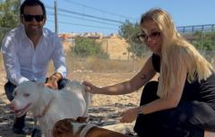 El Refugi de Paterna celebra el Dia Mundial del Gos trencant mites sobre el comportament d'estos animals