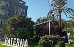 Paterna llança la campanya de retirada de fruits ornamentals d'arbres en tots els barris de la ciutat