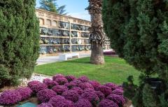 Paterna se prepara para celebrar el Día de Todos los Santos