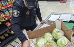 Inspeccions de la Policia Local en fruiteries de Paterna permeten confiscar 150 quilos de taronges sense origen acreditat