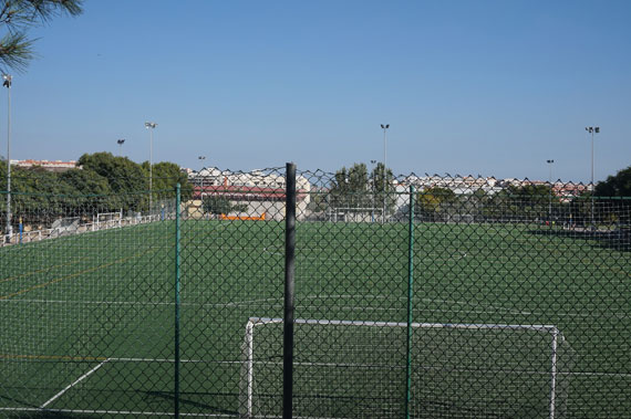 Césped en Campos de Fútbol